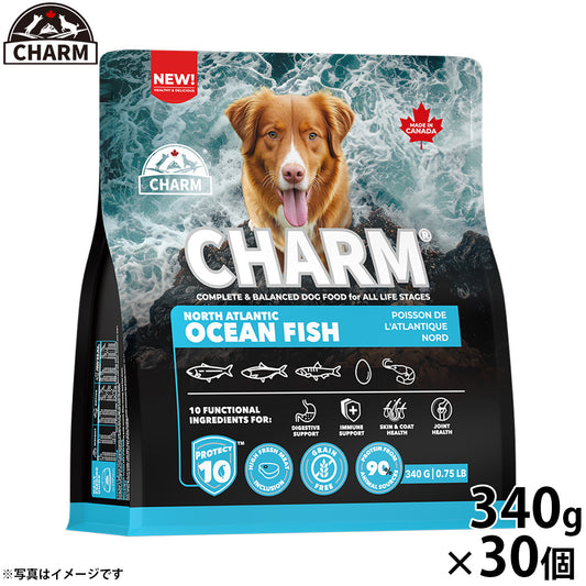 チャーム CHARM ノース アトランティック オーシャン フィッシュ ドッグフード グレインフリー 340g×30個