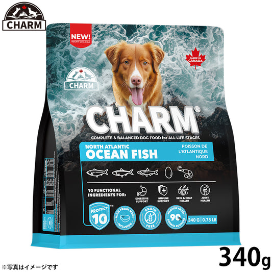 チャーム CHARM ノース アトランティック オーシャン フィッシュ ドッグフード グレインフリー 340g