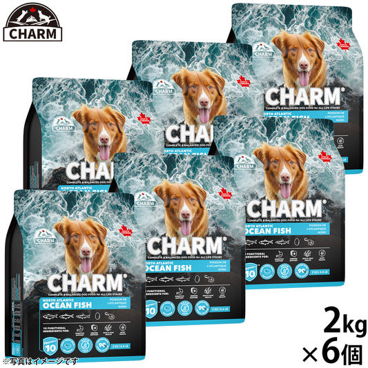 チャーム CHARM ノース アトランティック オーシャン フィッシュ ドッグフード グレインフリー 2kg×6個