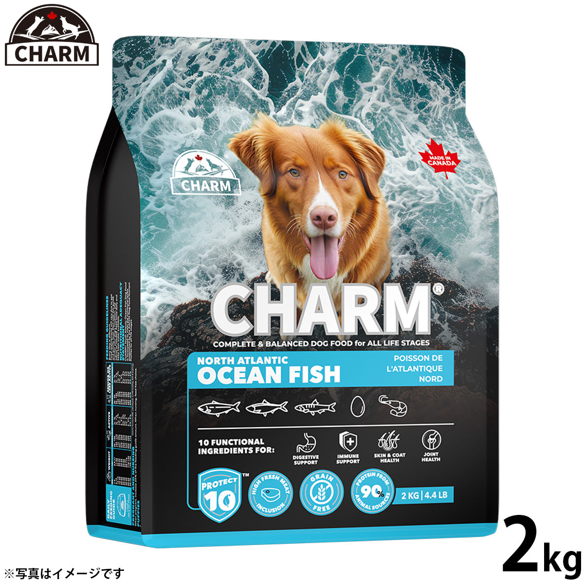 チャーム CHARM ノース アトランティック オーシャン フィッシュ ドッグフード グレインフリー 2kg