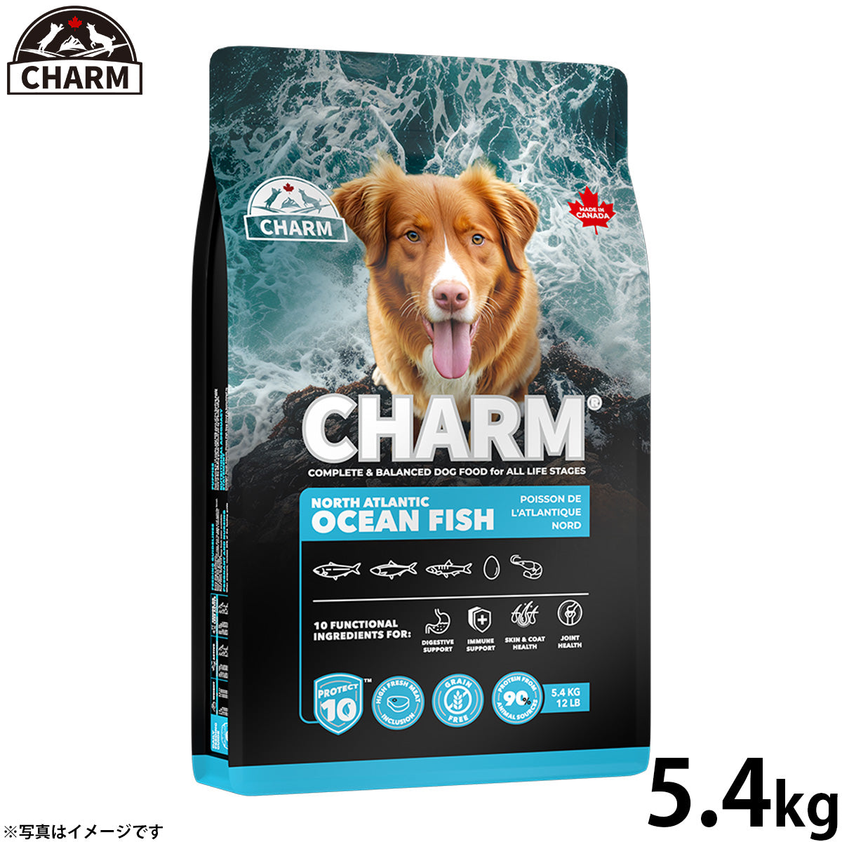 チャーム CHARM ノース アトランティック オーシャン フィッシュ ドッグフード グレインフリー 5.4kg