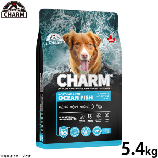チャーム CHARM ノース アトランティック オーシャン フィッシュ ドッグフード グレインフリー 5.4kg