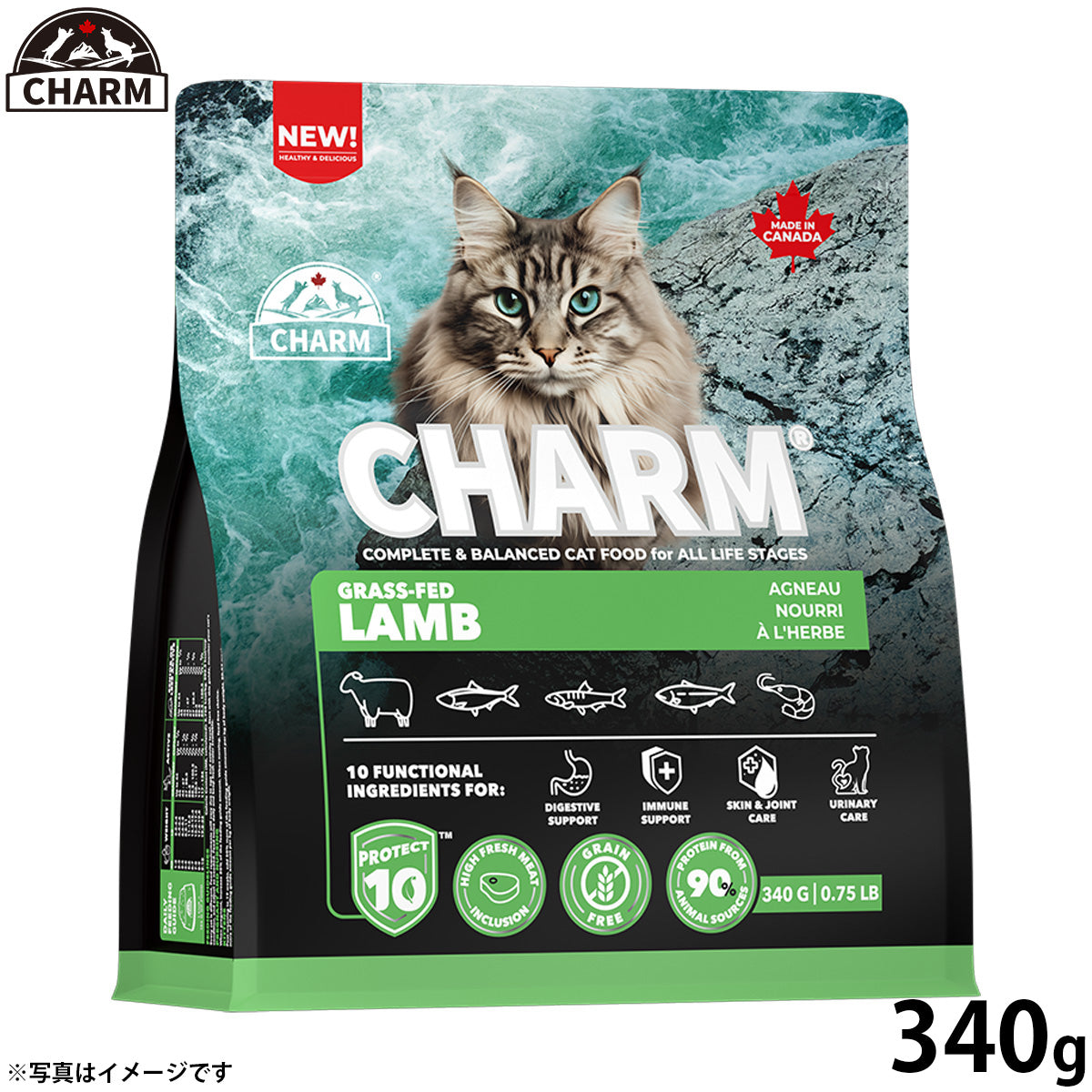 チャーム CHARM グラスフェッドラム キャットフード グレインフリー 340g