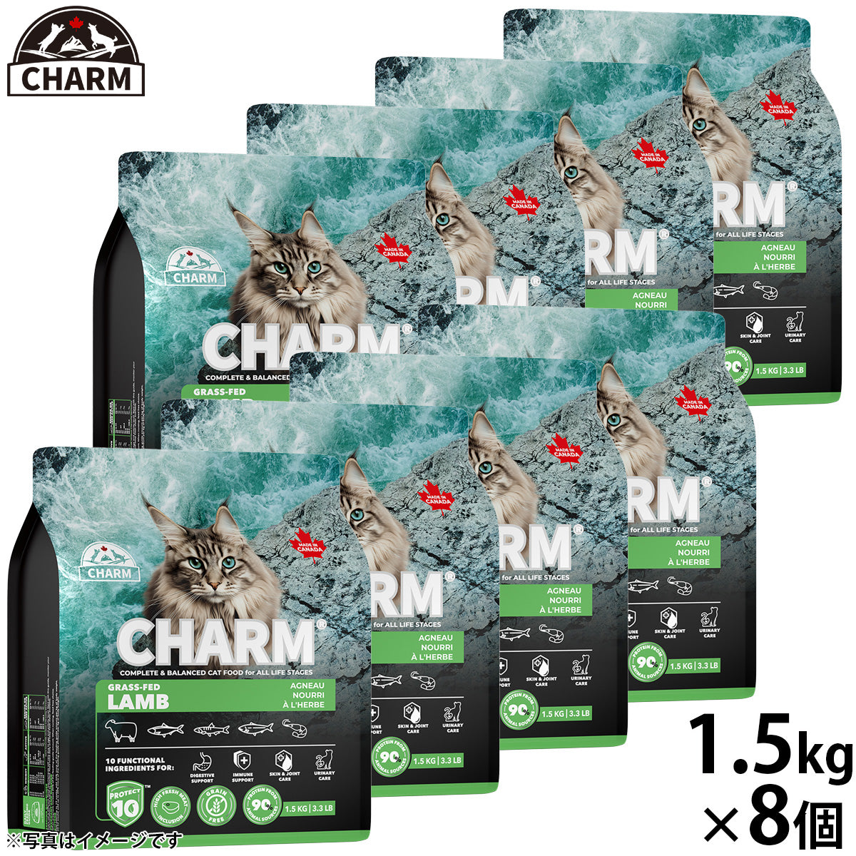 チャーム CHARM グラスフェッドラム キャットフード グレインフリー 1.5kg×8個