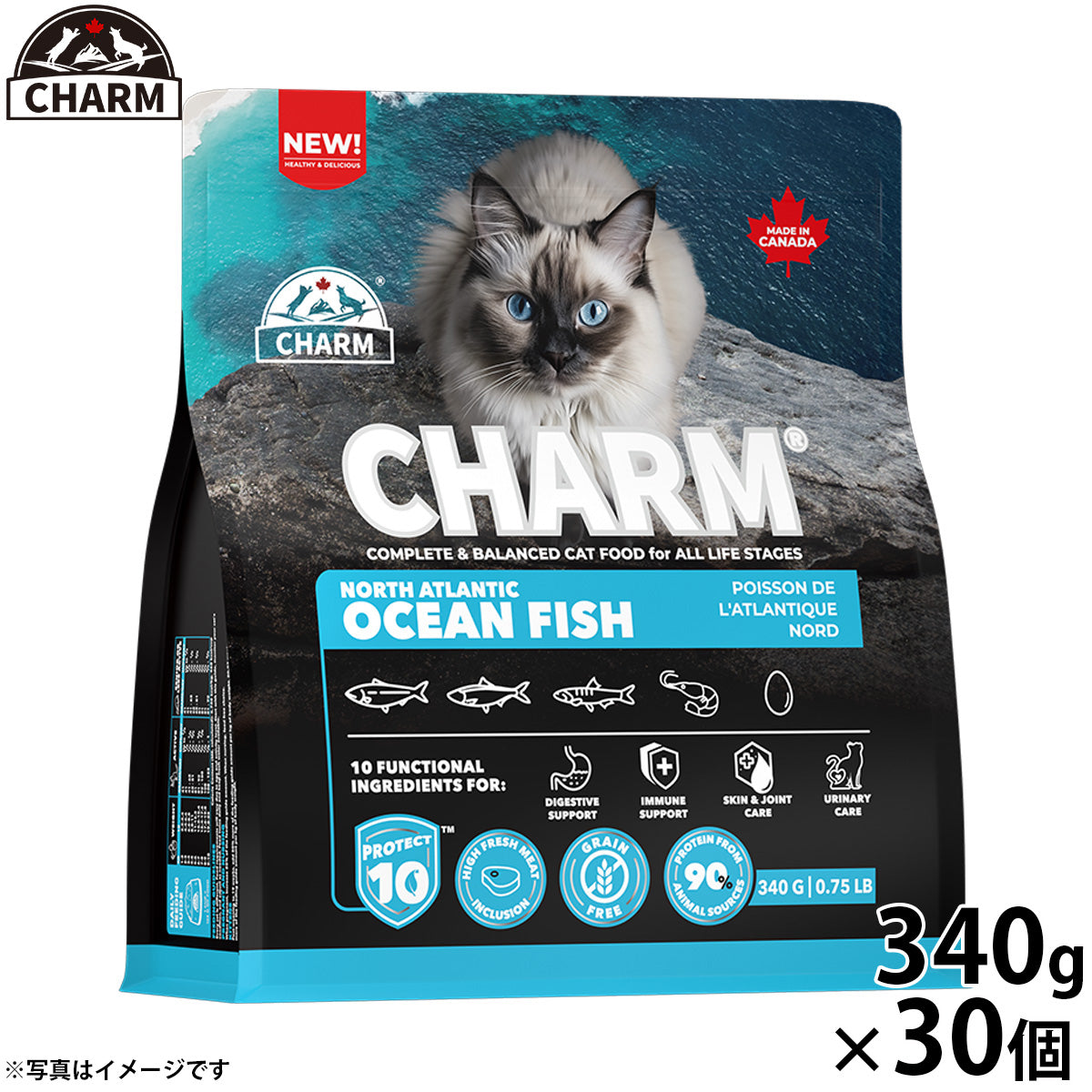 チャーム CHARM ノース アトランティック オーシャン フィッシュ キャットフード グレインフリー 340g×30個