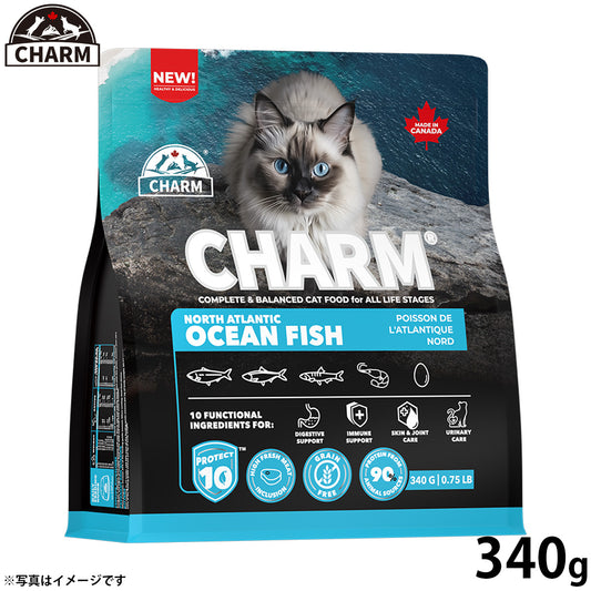 チャーム CHARM ノース アトランティック オーシャン フィッシュ キャットフード グレインフリー 340g