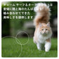 チャーム CHARM キャットフード サーフ＆ターフキャット 全年齢用 穀物不使用 340g×36個セット