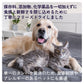 チャーム CHARM フリーズドライトリーツ まぐろキューブ＆スッポン卵 犬猫兼用おやつ 40g×70個セット