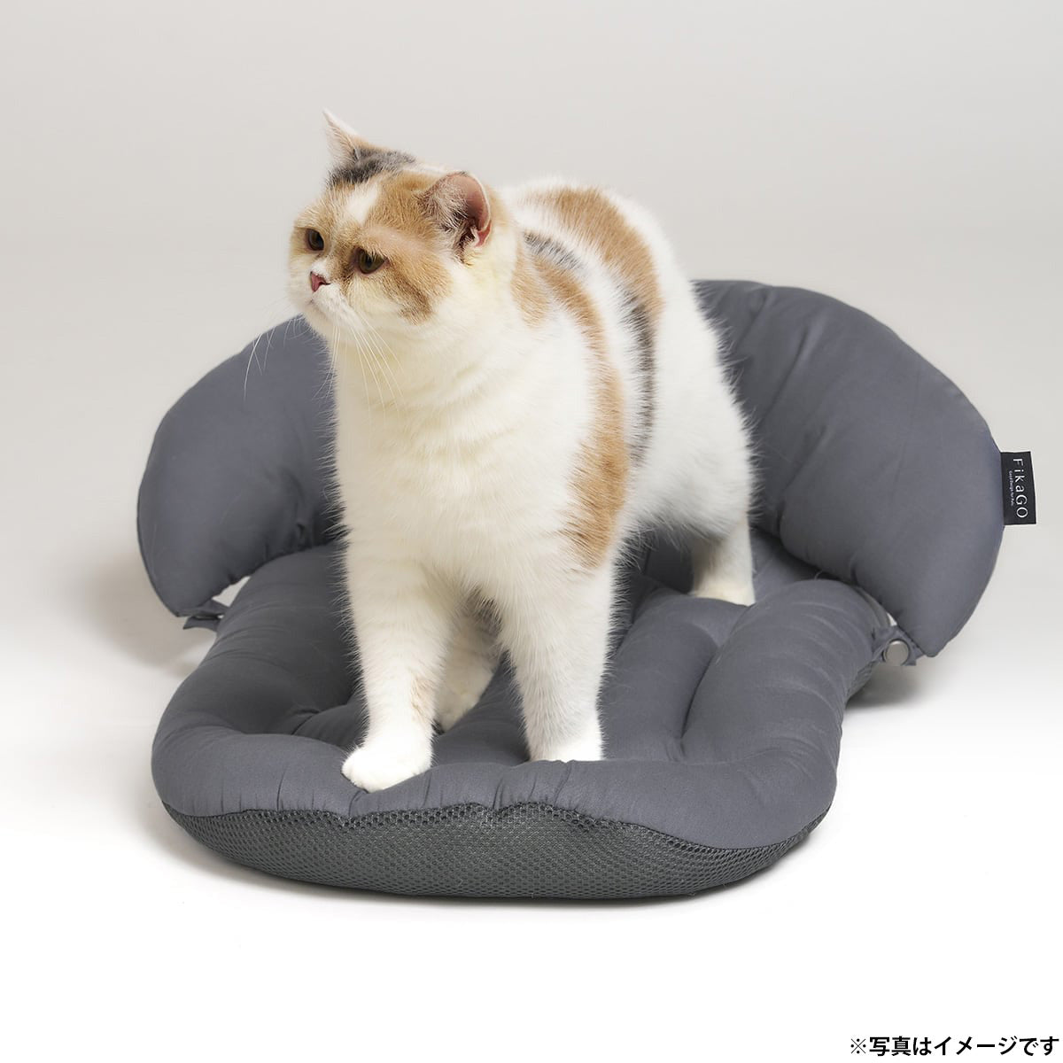 コンビ combi コムペット compet フィカゴー FikaGO マッシュルーム MUSHROOM CUSHION PILLOW SET L グレー