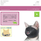 ファンタジーワールド キャットマズル M しつけ 口輪 介護 猫