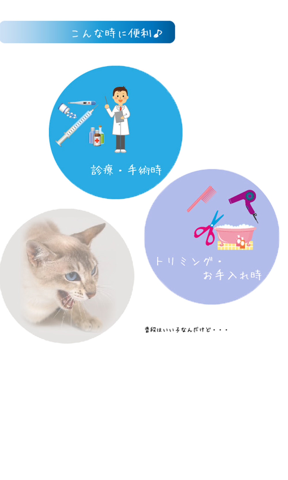 ファンタジーワールド キャットマズル M しつけ 口輪 介護 猫