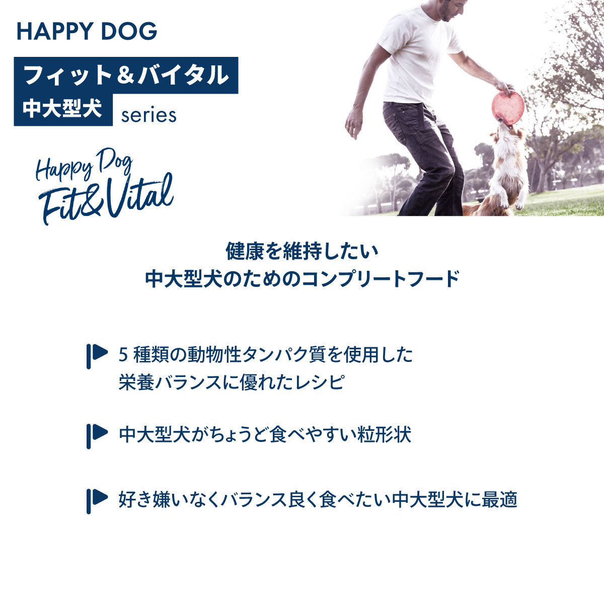 HAPPY DOG ハッピードッグ ドッグフード フィット＆バイタル シニア（中～大型犬） 80g×10個セット