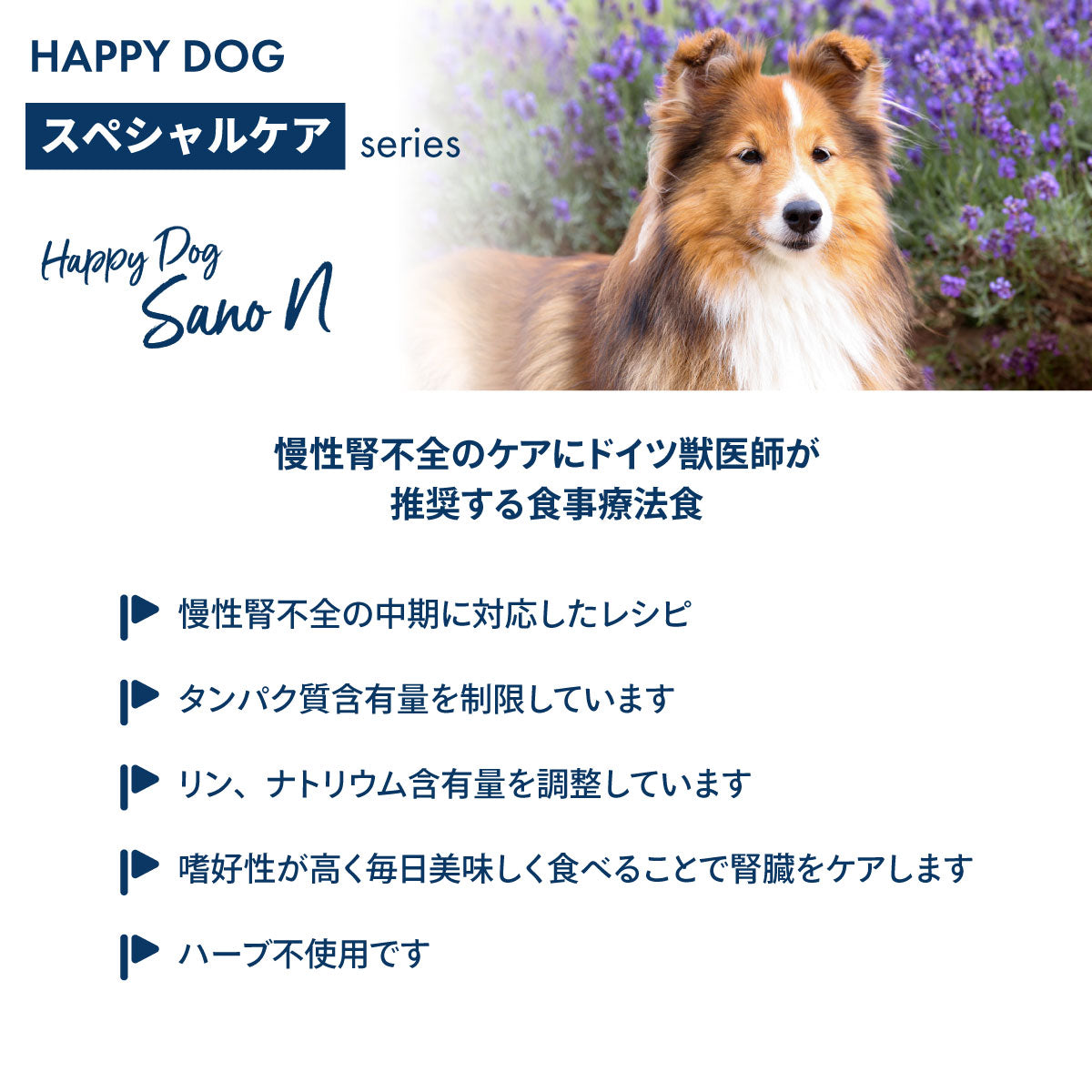 ハッピードッグ HAPPY DOG ドッグフード スペシャルケア ケアサノN 腎臓ケア（成犬～シニア犬用） 1kg