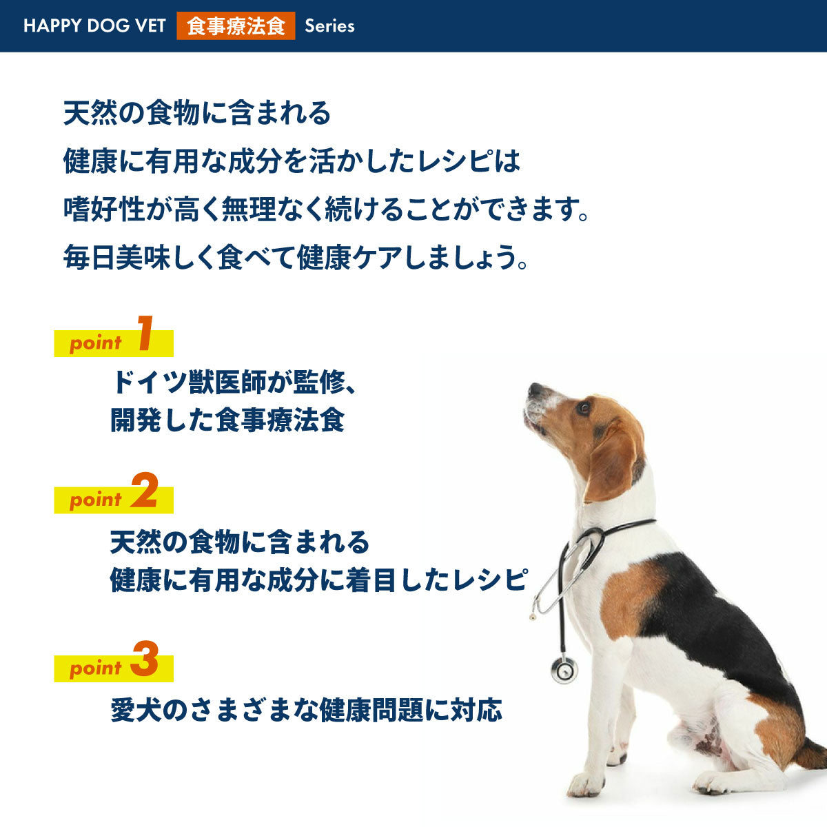 HAPPY DOG VET ハッピードッグ ドッグフード 犬用療法食 ヘパティック（肝臓ケア） 80g×10個セット