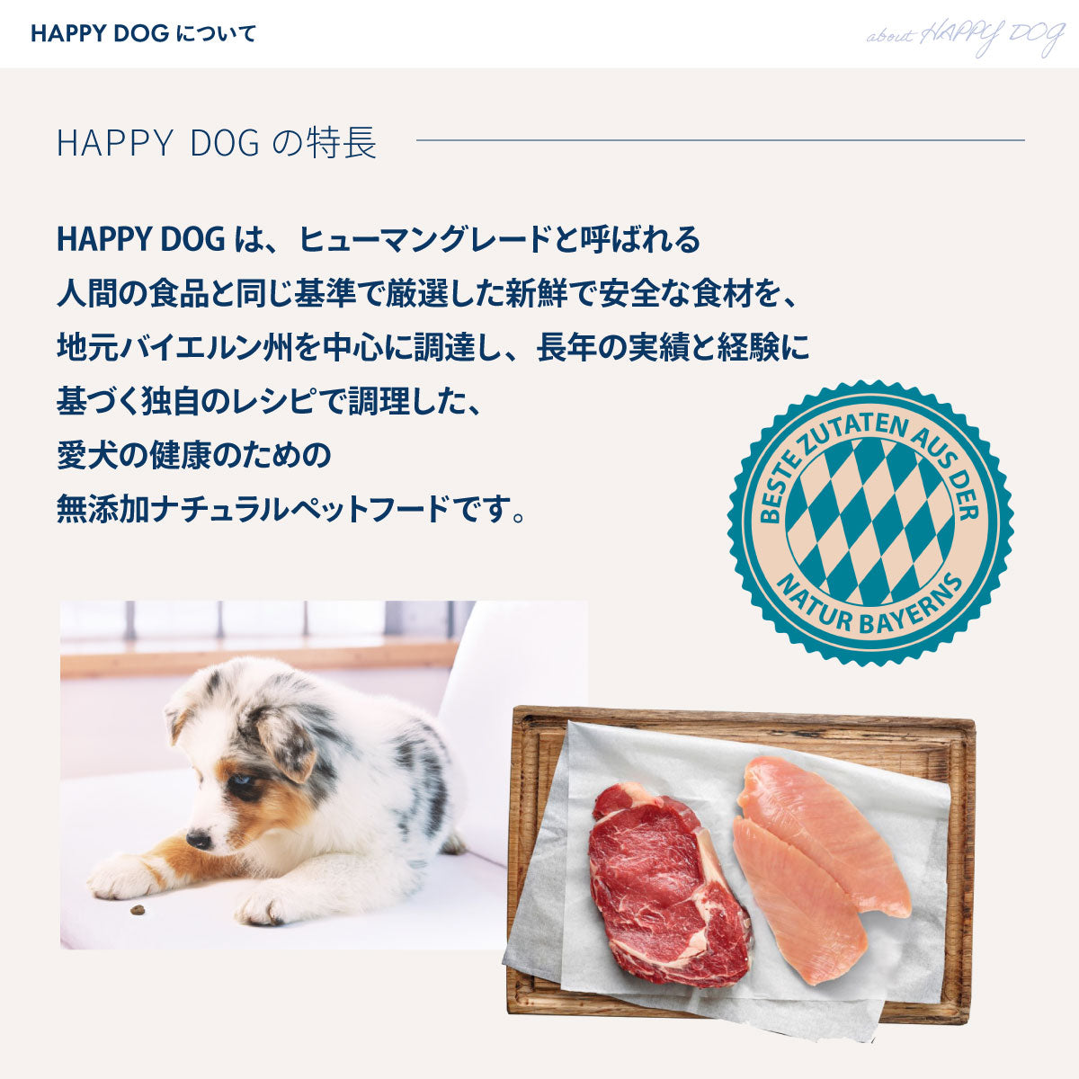 HAPPY DOG ハッピードッグ ドッグフード フィット＆バイタル マキシ アダルト 成犬用（大型犬・成犬用） 80g×10個セット