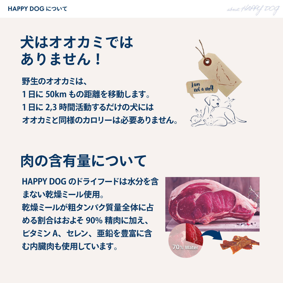 HAPPY DOG ハッピードッグ ドッグフード センシブル モンタナ（グレインフリー）馬肉 アレルギーケア（成犬～シニア犬用） 80g×10個セット