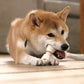 ディンゴ 犬用おやつ ミート イン ザ ミドル オリジナルチキン ミニ 10本 Dingo ガム 歯磨き デンタルケア ドッグトリーツ
