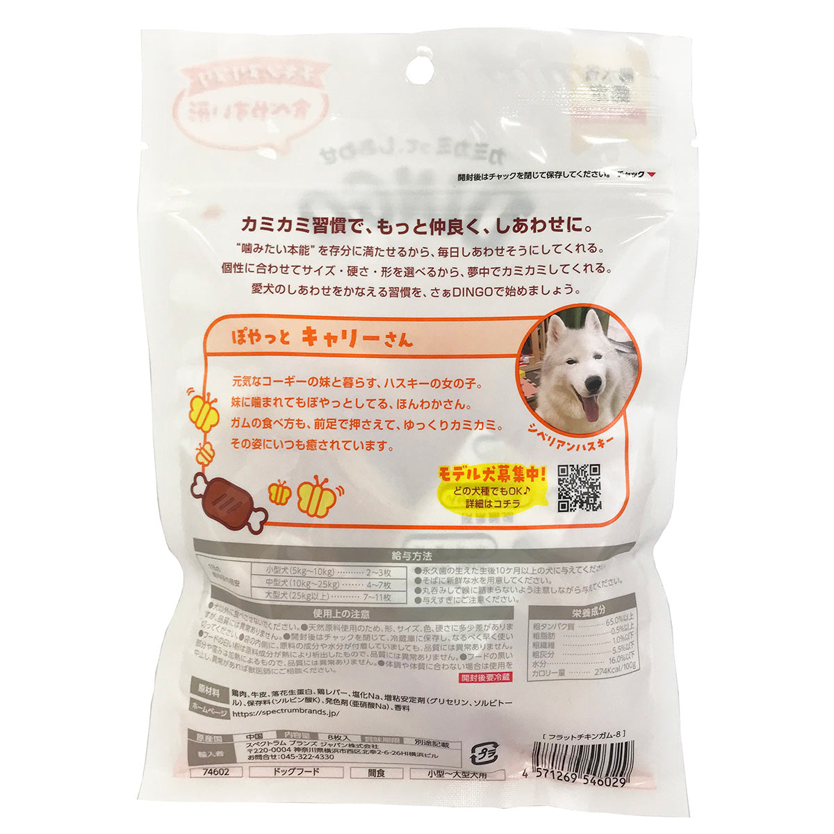 ディンゴ 犬用おやつ フラットチキンガム 8枚 Dingo ガム 歯磨き デンタルケア ドッグトリーツ