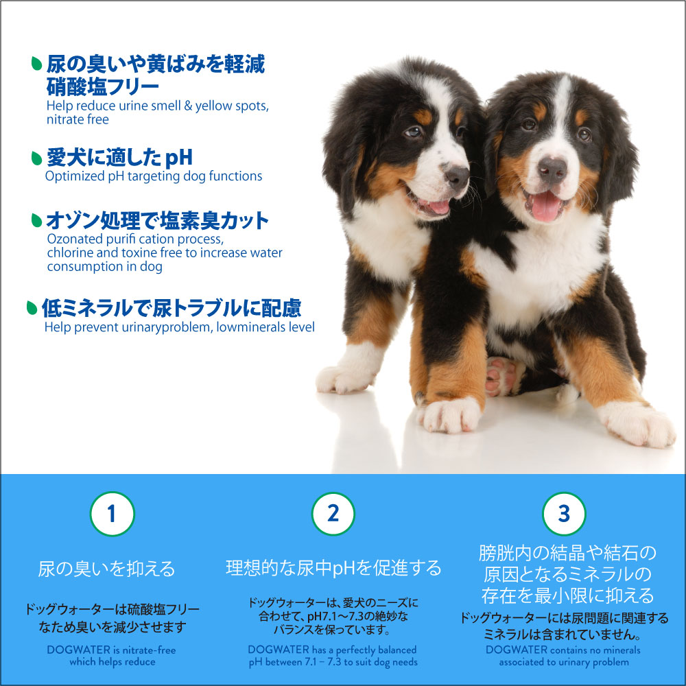 ファンタジーワールド ドッグウォーター 500ml