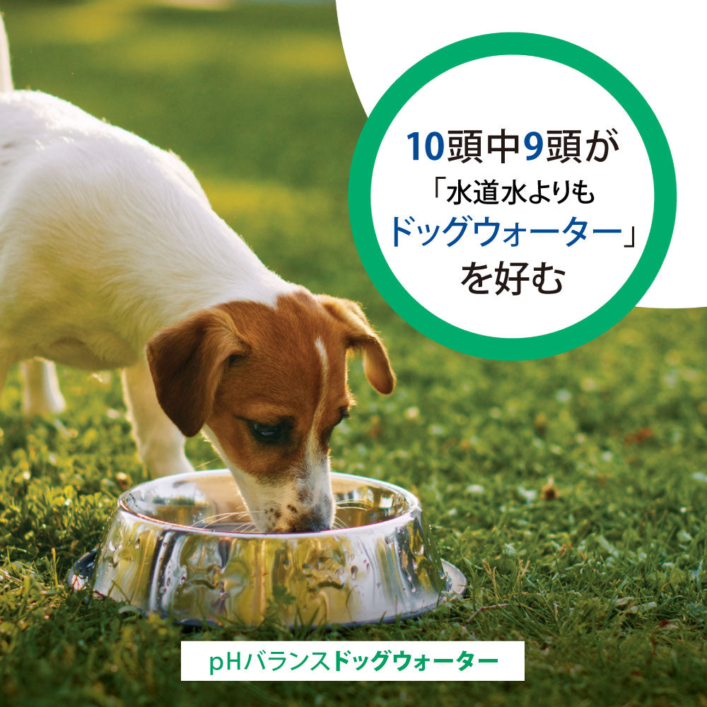 ファンタジーワールド ドッグウォーター 500ml
