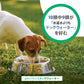 ファンタジーワールド ドッグウォーター 500ml×24本