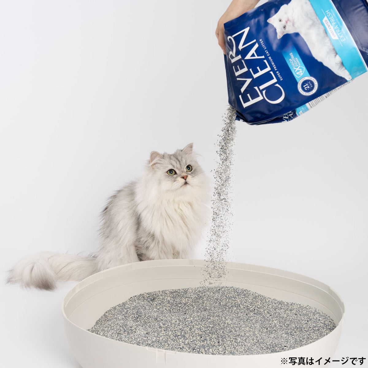 エバークリーン EVER CLEAN 多頭飼い用猫砂 芳香タイプ 4.2kg×4袋