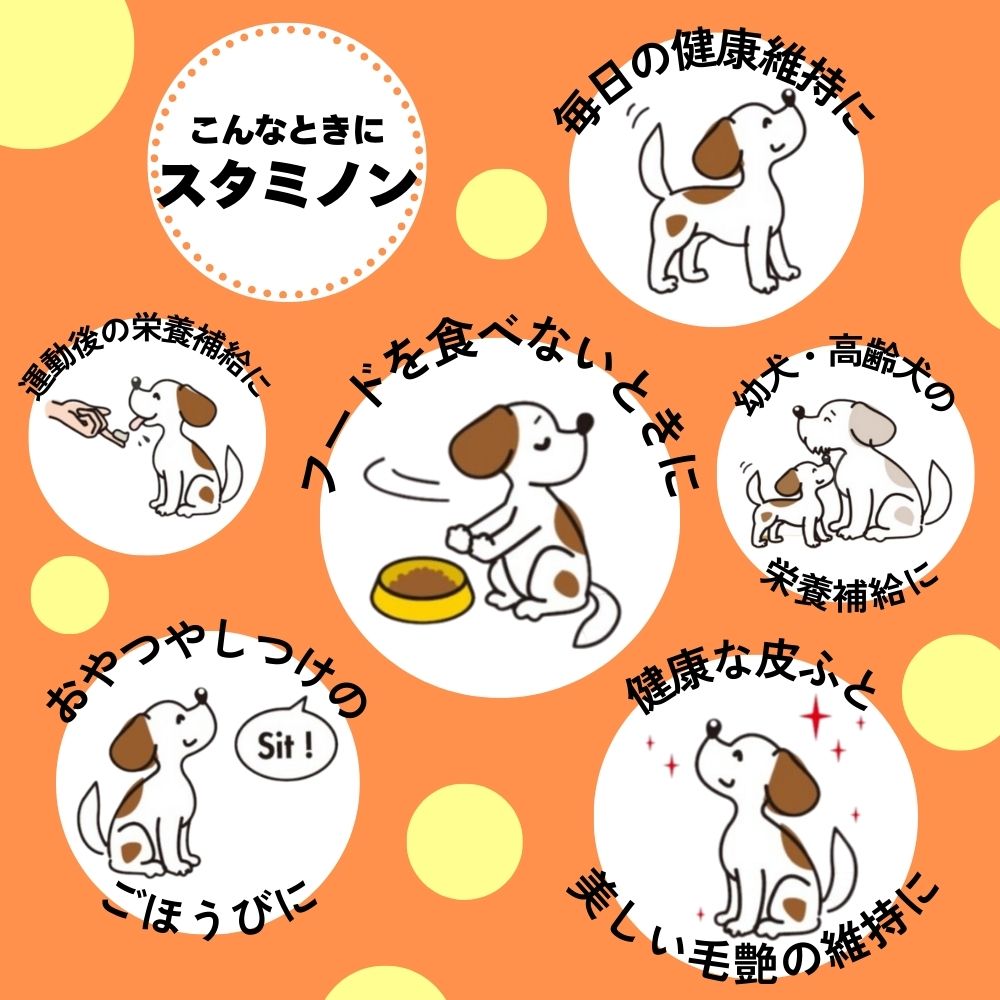 アース・ペット 犬用サプリメント チョイスプラス スタミノン 食欲がないときに 40g