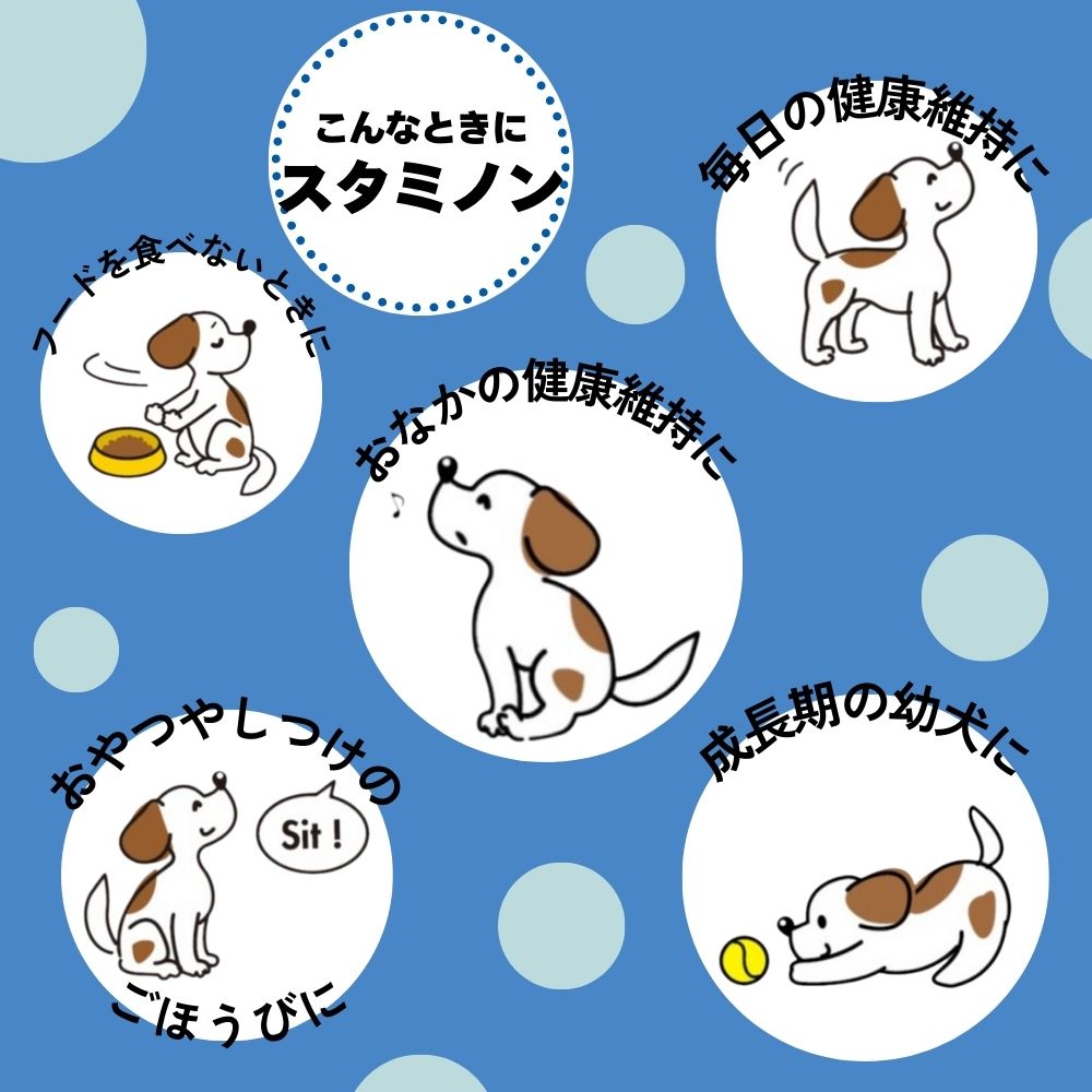 アース・ペット 犬用サプリメント チョイスプラス スタミノン おなかケア 40g
