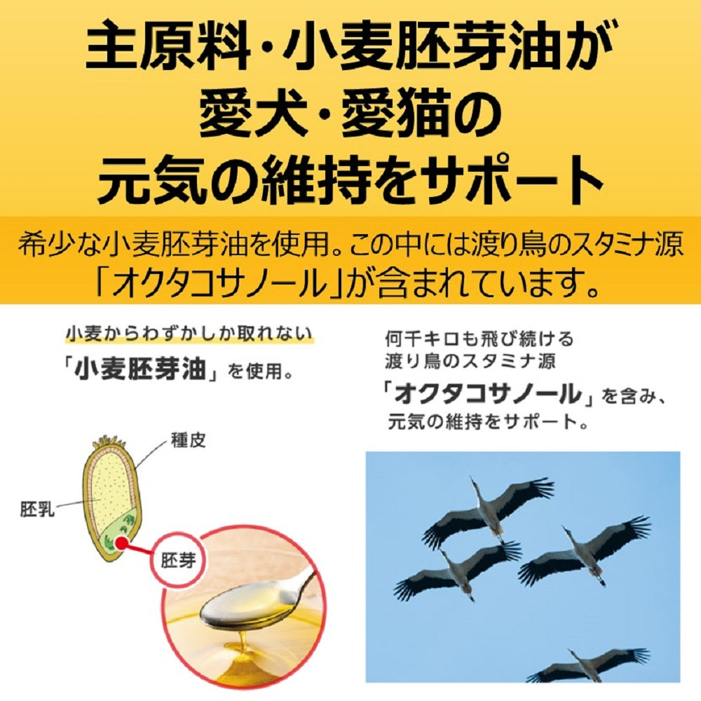 アース・ペット 猫用サプリメント スタミノール 子いぬ・子ねこ用 100g