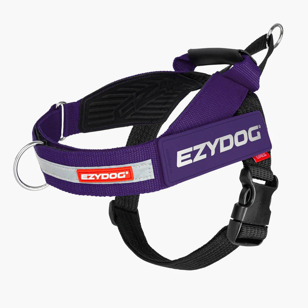 EZYDOG イージードッグ 胴輪 エクスプレスハーネス XL パープル
