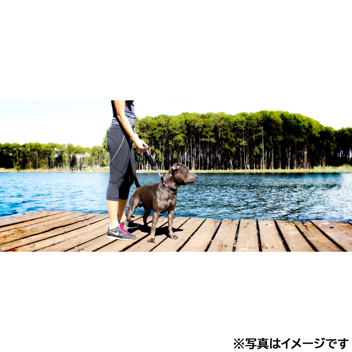 イージードッグ EZYDOG モングリルネオ レッド