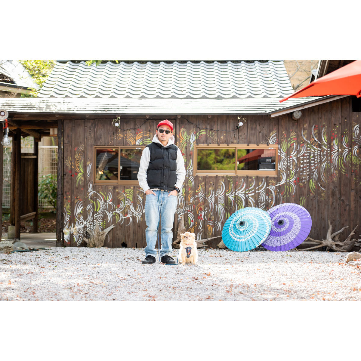 イージードッグ EZYDOG プレミアム デニム コレクション ロードランナー ライト デニム【送料無料】