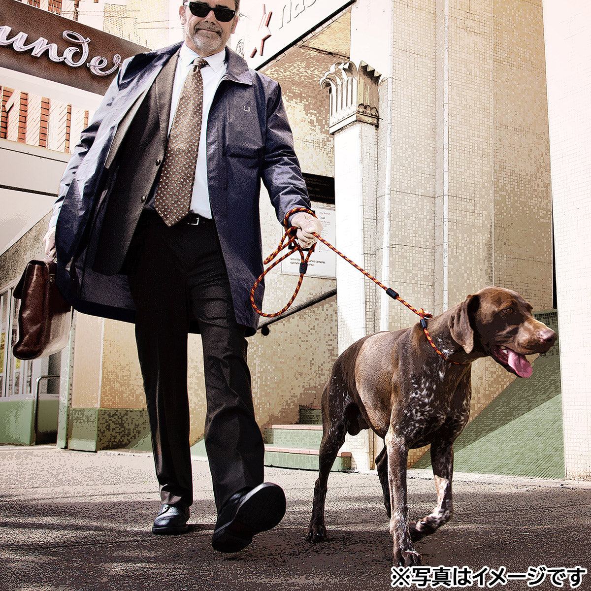 イージードッグ EZYDOG ルカリード パープル【送料無料】