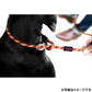 イージードッグ EZYDOG ルカリードライト オレンジ【送料無料】