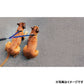 イージードッグ EZYDOG ソフトエクステンション ダブル ブラック