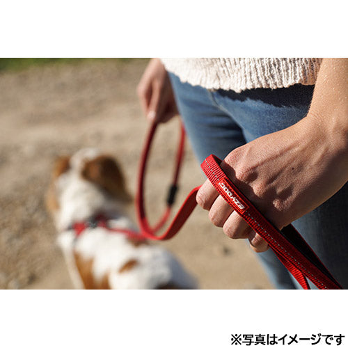 イージードッグ EZYDOG ゼロショックライト バブルガム