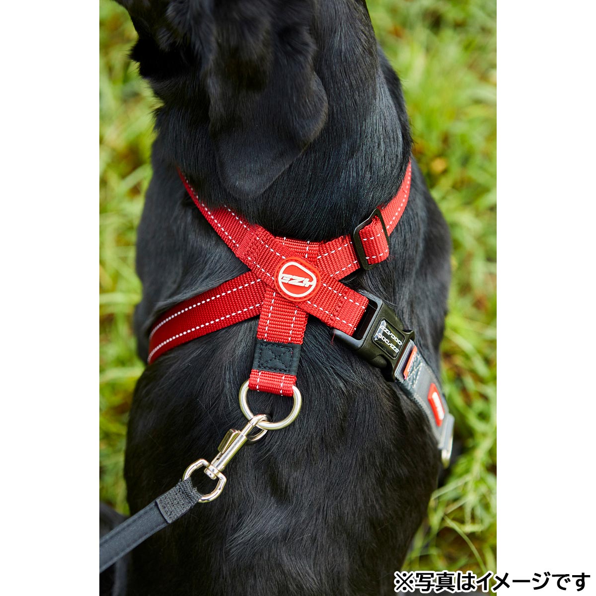 イージードッグ EZYDOG クロスチェックハーネス S レッド【送料無料】