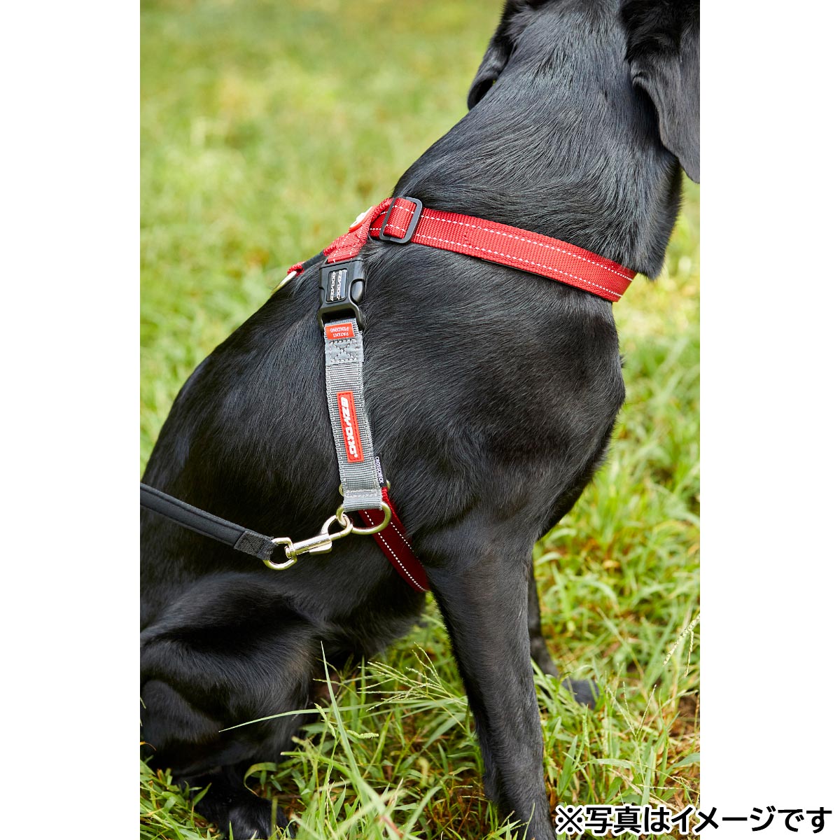 イージードッグ EZYDOG クロスチェックハーネス XL レッド【送料無料】