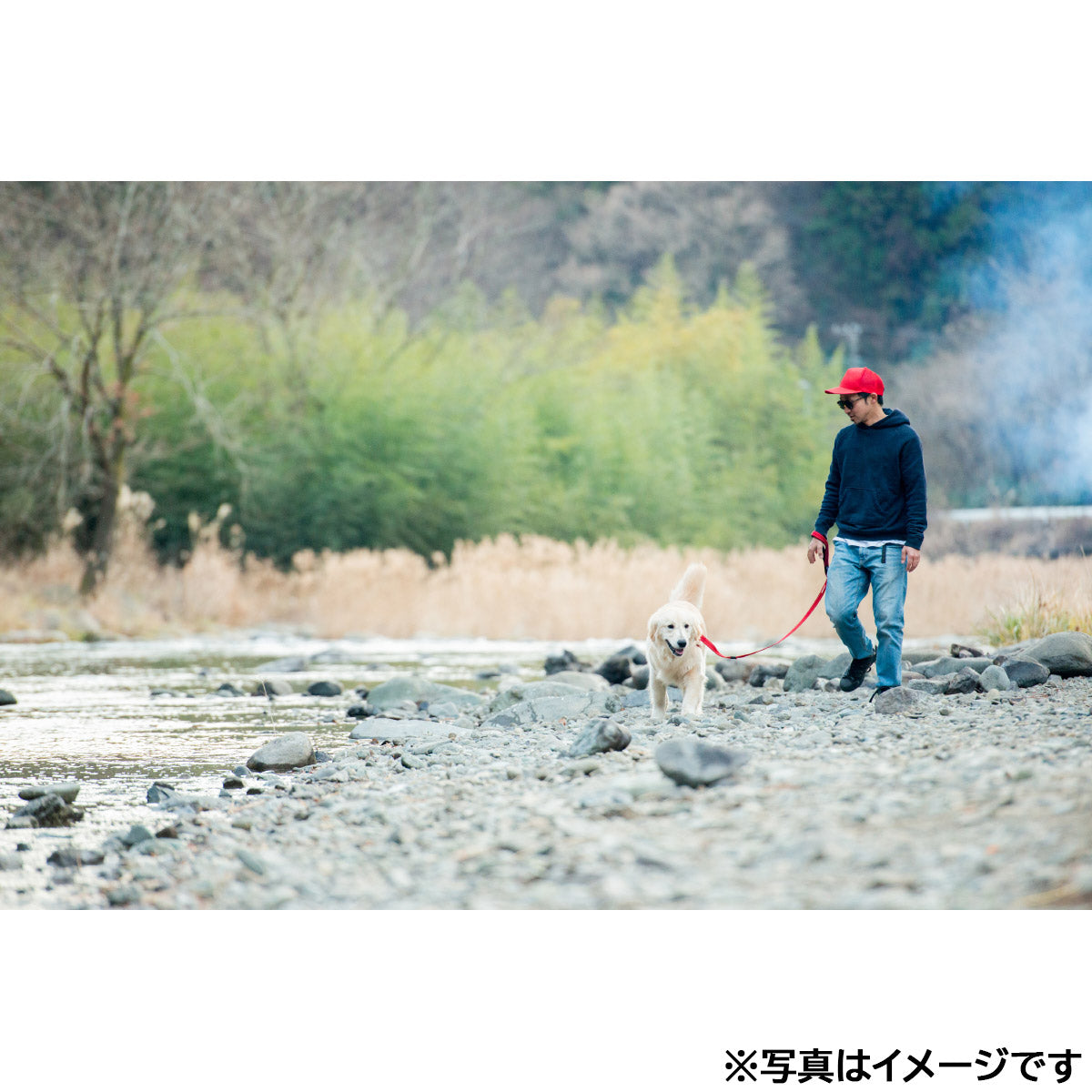 イージードッグ EZYDOG ソフトトレーナー ブラック【送料無料】