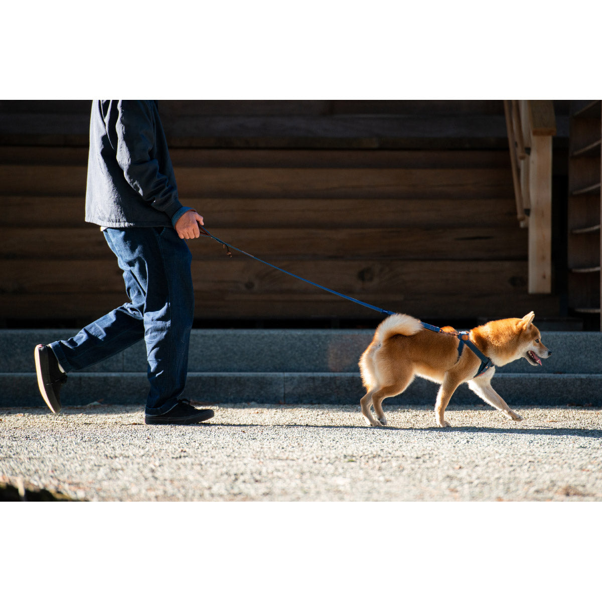 イージードッグ EZYDOG プレミアム デニム コレクション ソフトトレーナー デニム【送料無料】