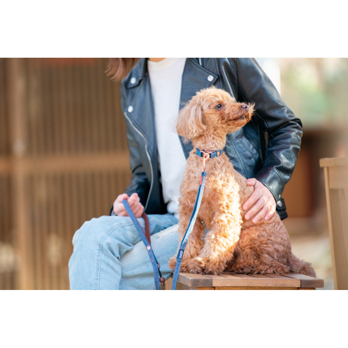 イージードッグ EZYDOG プレミアム デニム コレクション ソフトトレーナー ライト デニム