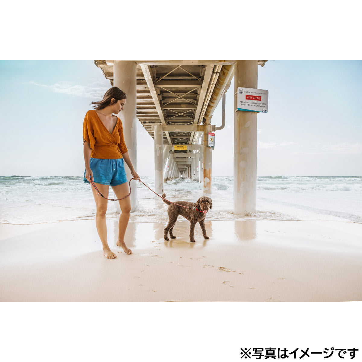 イージードッグ EZYDOG マリンリード レッド【送料無料】