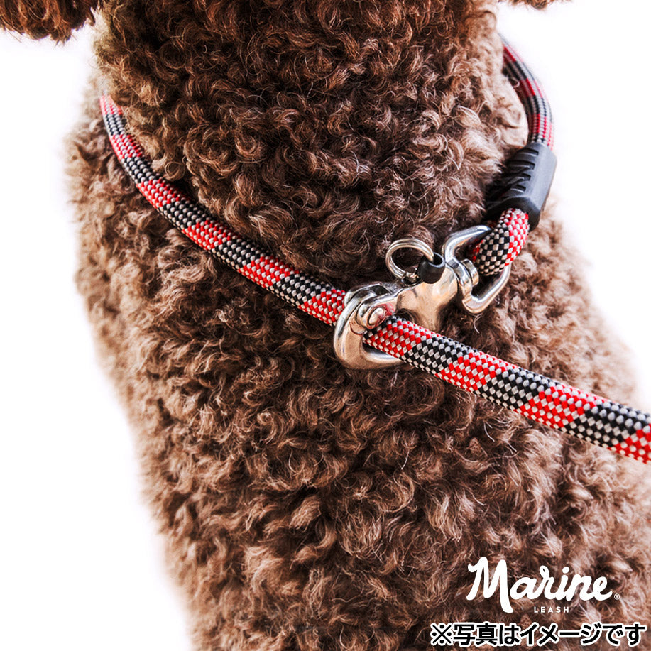 イージードッグ EZYDOG マリンリードライト ブラック【送料無料】