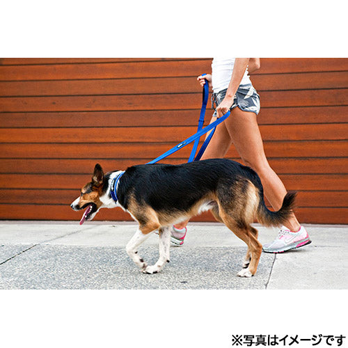 イージードッグ EZYDOG ヴァリオ4 グレイ【送料無料】