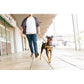 イージードッグ EZYDOG プレミアム コーデュロイ コレクション ロードランナーライト コーデュロイ【送料無料】