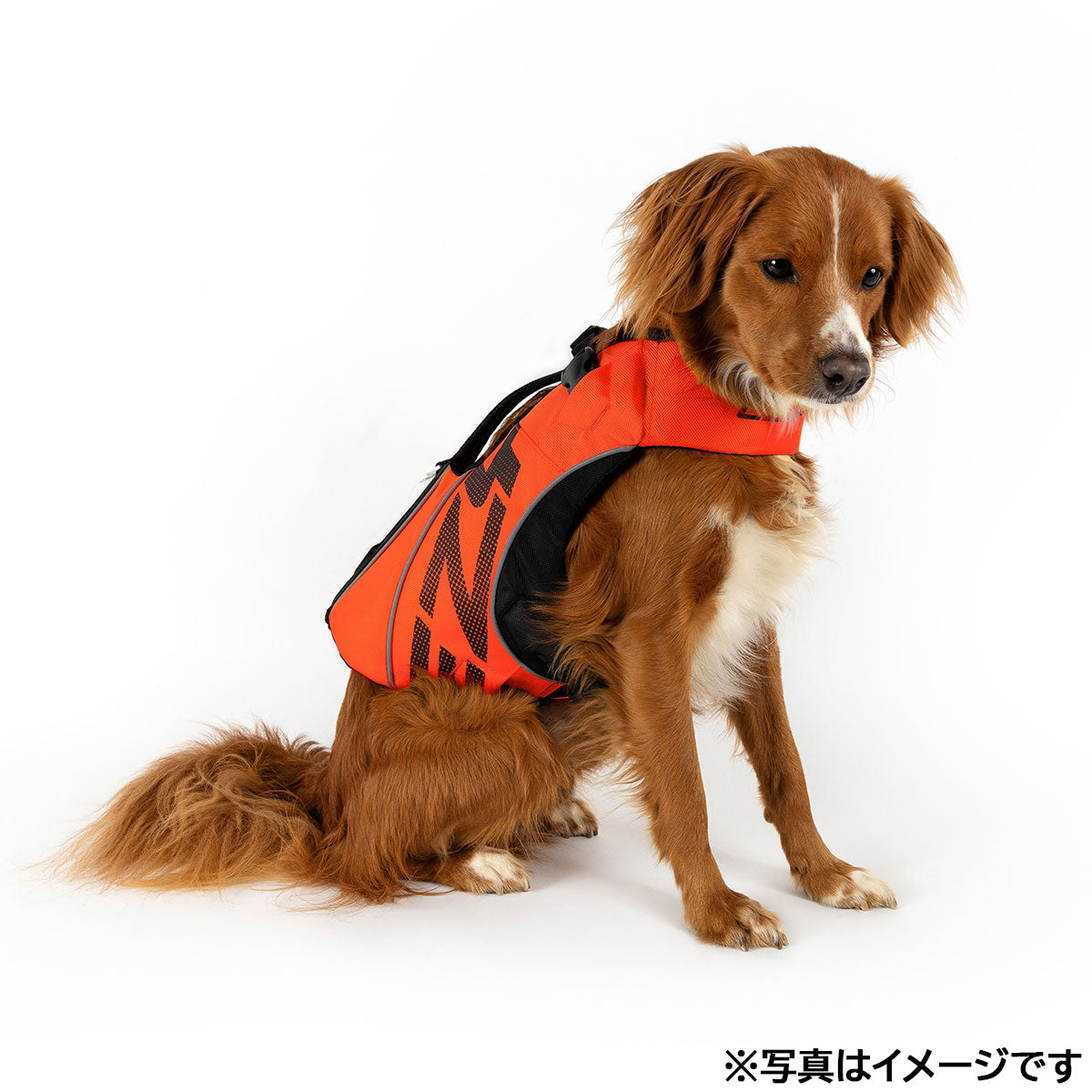 イージードッグ EZYDOG フローティングジャケット DFDブースト 4XS レッド【送料無料】