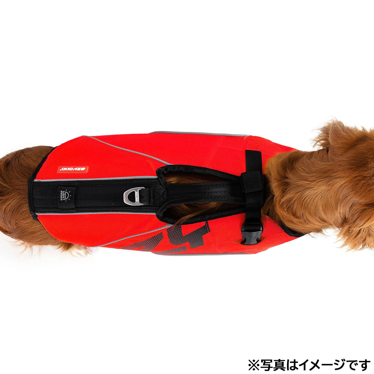 イージードッグ EZYDOG フローティングジャケット DFDブースト L レッド【送料無料】