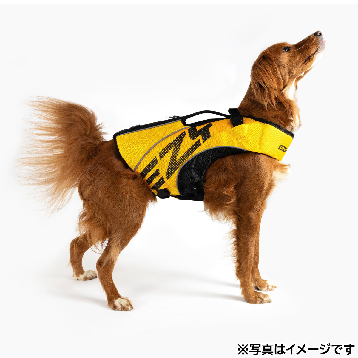 イージードッグ EZYDOG フローティングジャケット DFDブースト 2XS イエロー【送料無料】