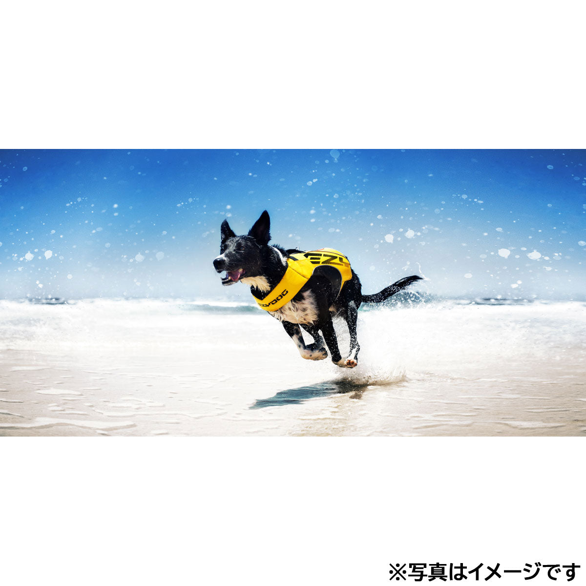 イージードッグ EZYDOG フローティングジャケット DFDブースト XS イエロー【送料無料】