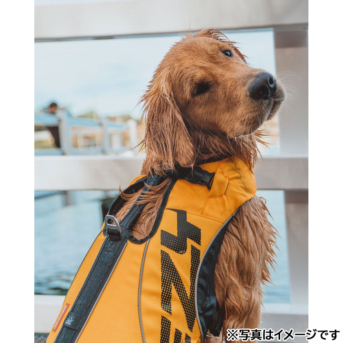 イージードッグ EZYDOG フローティングジャケット DFDブースト XS イエロー【送料無料】